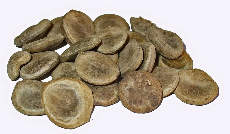 Hydan là thuốc gì? Công dụng như thế nào? 1