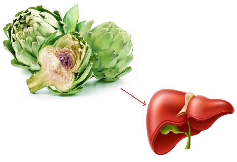 Ích Can Thanh Hoa Linh hỗ trợ giải độc, khôi phục và tăng cường chức năng gan 4