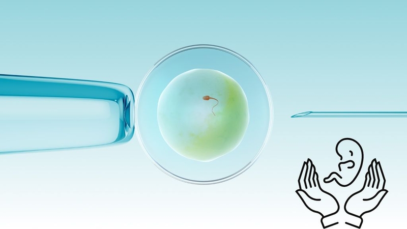 icsi-khac-ivf-nhu-the-nao-cach-phan-biet-don-gian-nhat 2
