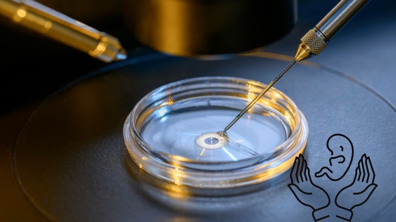 icsi-khac-ivf-nhu-the-nao-cach-phan-biet-don-gian-nhat 4