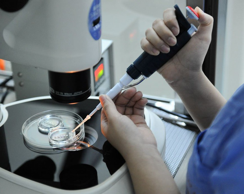 ICSI- kỹ thuật tiêm tinh trùng vào bào tương noãn là gì? 3