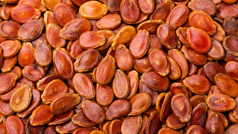 Mẹ cho con bú ăn hạt dưa được không? 1