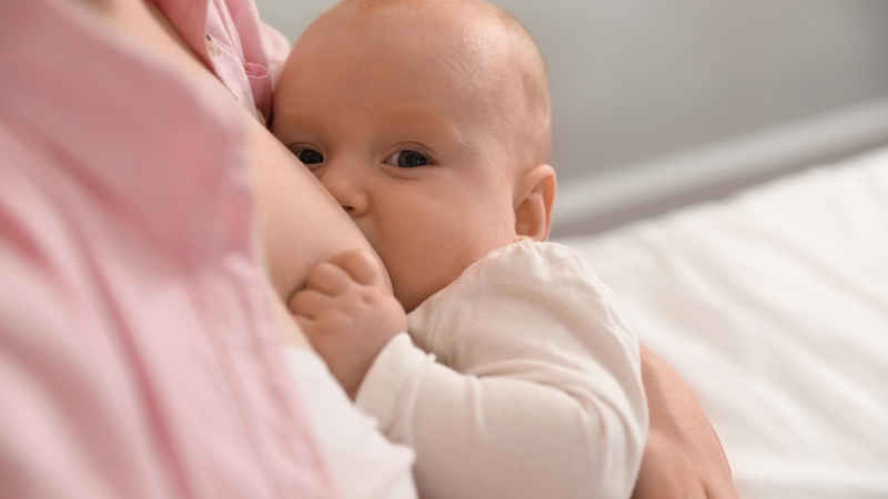 IgA là gì? Vai trò của kháng thể IgA đối với sức khỏe 2