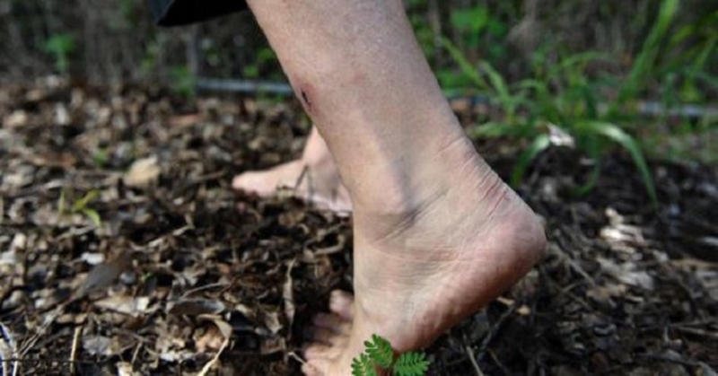 benh-whitmore-lay-qua-duong-nao-2