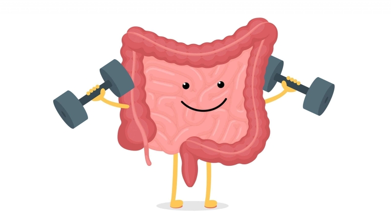 Immune Gamma là gì? Công dụng của Immune Gamma với sức khỏe 2