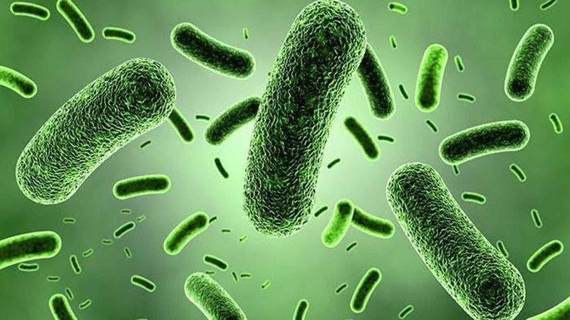 Immune Gamma là gì? Công dụng của Immune Gamma với sức khỏe 3