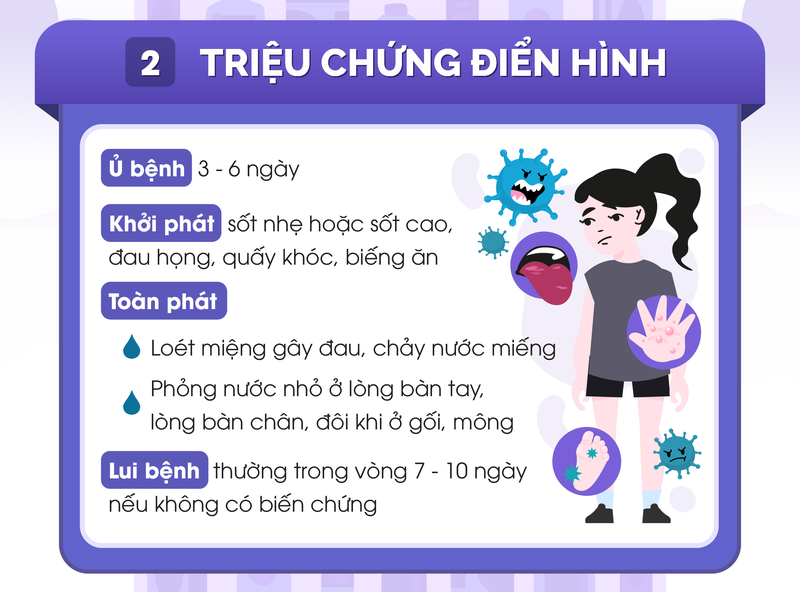 Infographic Triệu chứng điển hình của bệnh tay chân miệng ở trẻ em