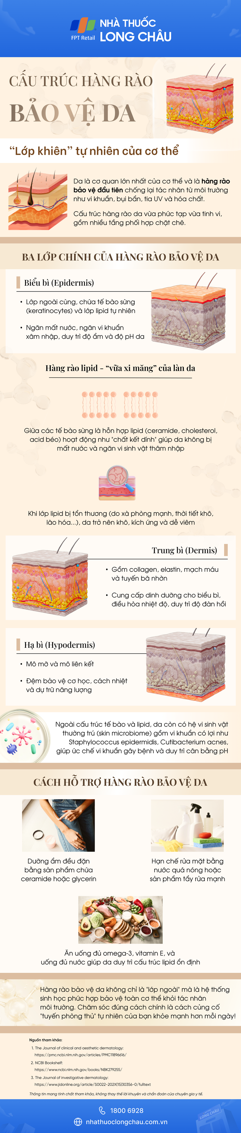 [Infographic] Cấu trúc hàng rào bảo vệ da - “Lớp khiên” tự nhiên của cơ thể