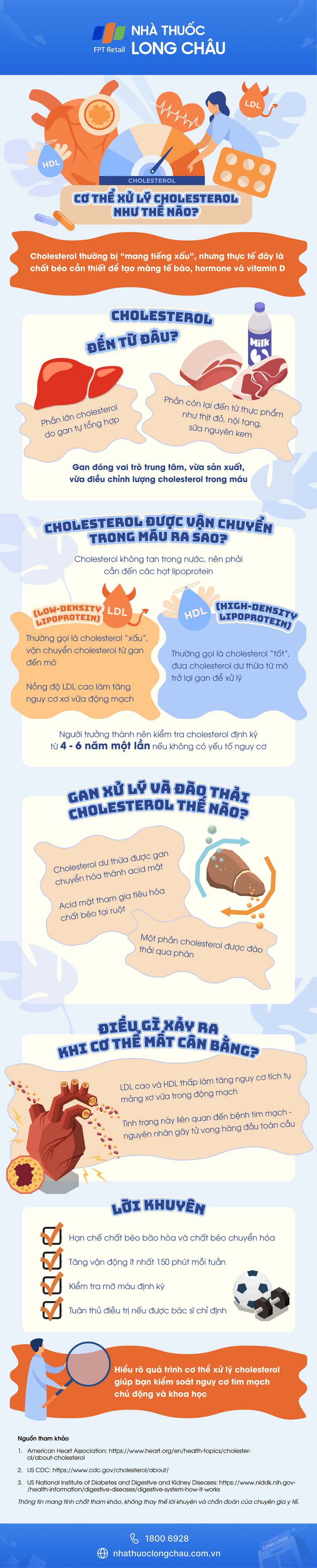 [Infographic] Cơ thể xử lý cholesterol như thế nào?