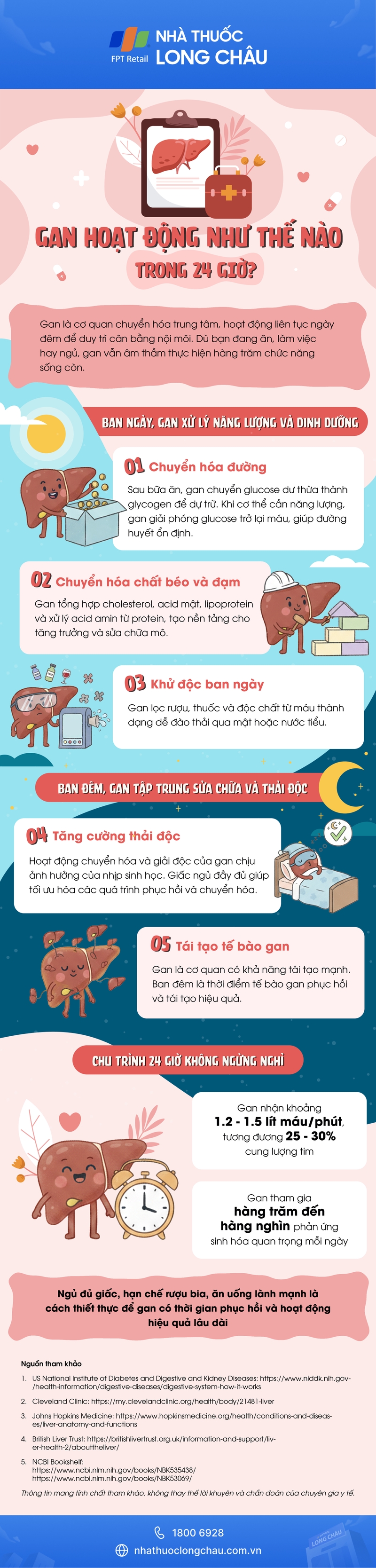 [Infographic] Gan hoạt động như thế nào trong 24 giờ?