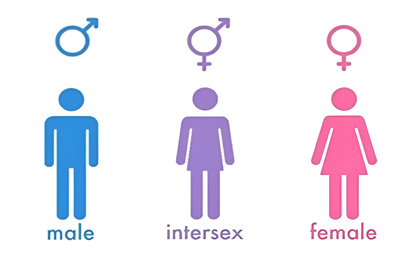 Intersex là gì? Những thông tin về intersex mà bạn cần biết 1