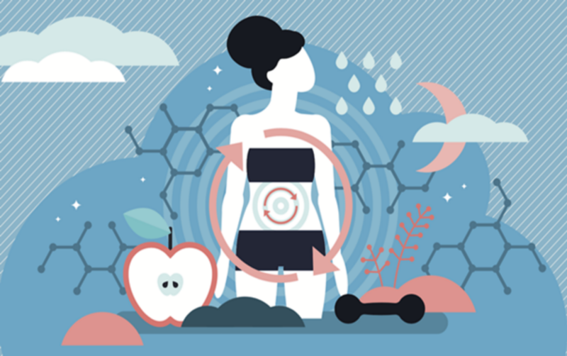 Ion hóa giúp hỗ trợ cho quá trình cung cấp nước cho cỡ thể