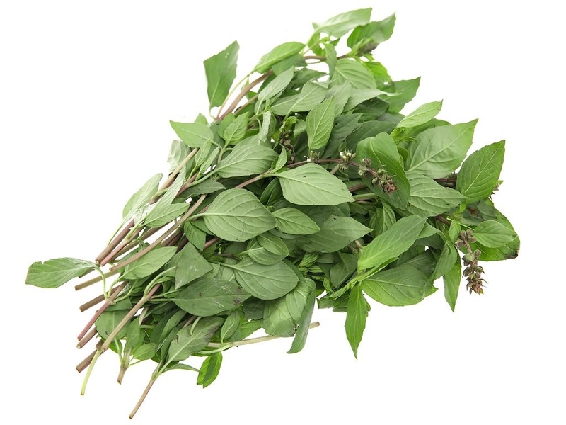 Ít ai biết rằng tác hại của rau húng quế nếu ăn không đúng cách 1