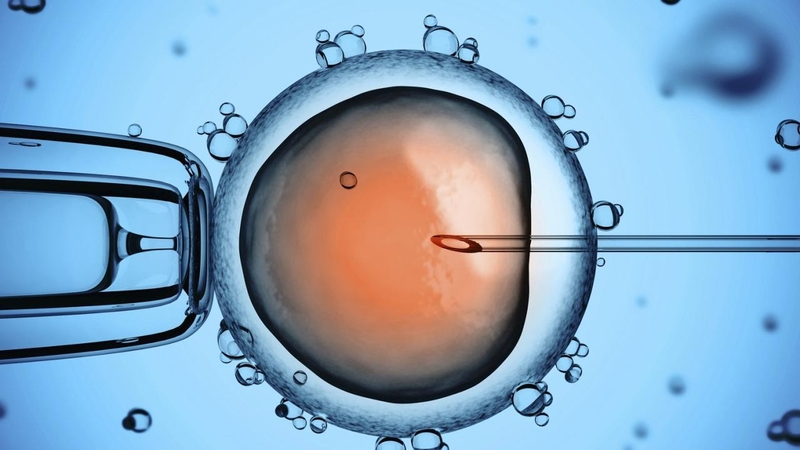 iui-va-ivf-la-gi-nen-lua-chon-phuong-phap-nao-giua-iui-va-ivf 1.jpg