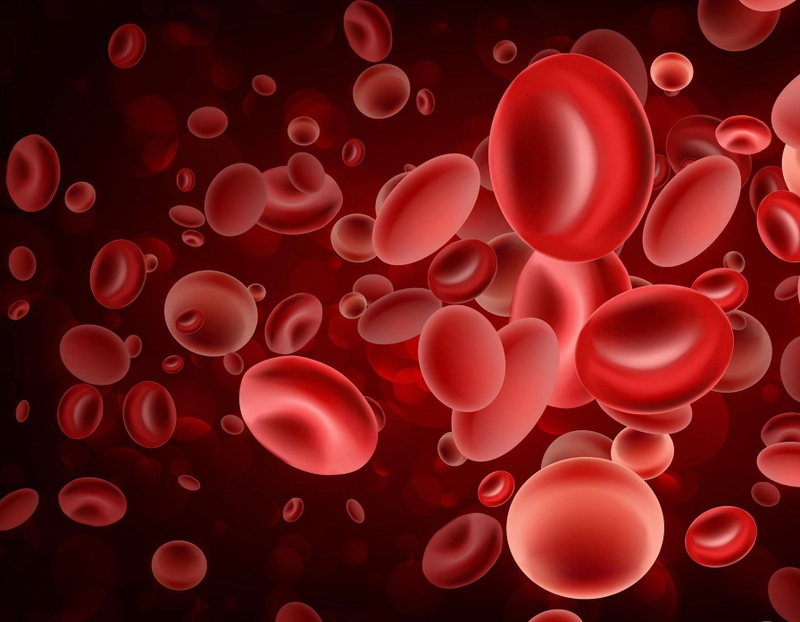 Kali máu bình thường có chỉ số bao nhiêu? 2