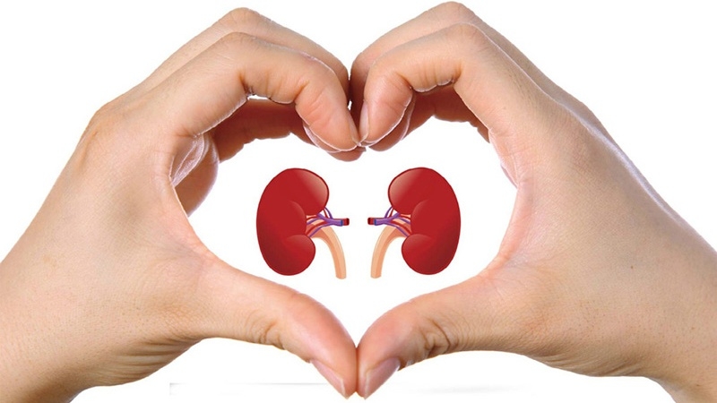 KANKA - Thực phẩm bổ sung hỗ trợ chức năng thận 2