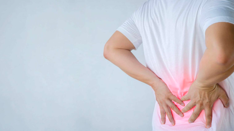 Kê huyết đằng: Vị thuốc chữa đau xương khớp và nhiều công dụng mới 2