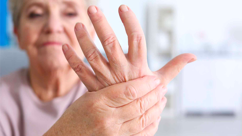 Kê huyết đằng: Vị thuốc chữa đau xương khớp và nhiều công dụng mới 4