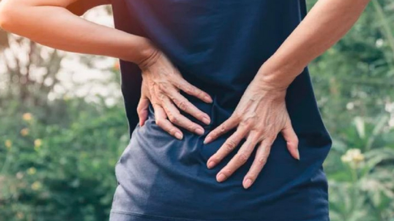 Kê huyết đằng: Vị thuốc chữa đau xương khớp và nhiều công dụng mới 6