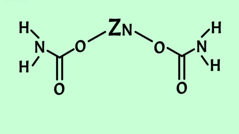 Kẽm Glycinate là gì? Khoáng chất vi lượng quan trọng 2.jpg