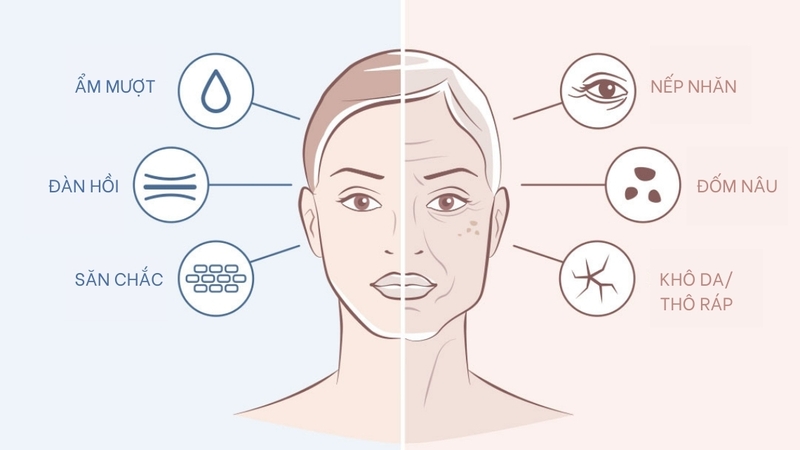 Kết hợp Ceramide và Hyaluronic Acid trong quy trình chăm sóc da được hay không? 2