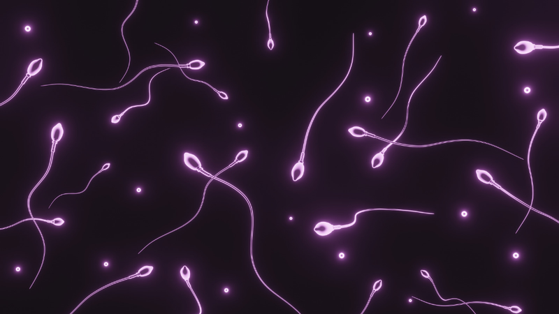 Kết quả xét nghiệm tinh dịch đồ nói lên điều gì? Các chỉ số quan trọng trong tinh dịch đồ và ý nghĩa của chúng 2