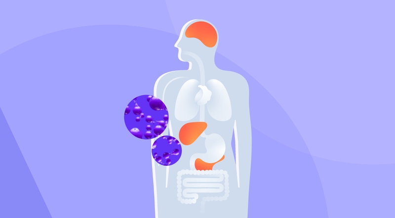 Ketosis là gì? Dấu hiệu nhận biết trạng thái ketosis 2