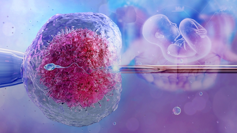 IVF là một trong những phương pháp điều trị hiếm muộn được lựa chọn nhiều hiện nay