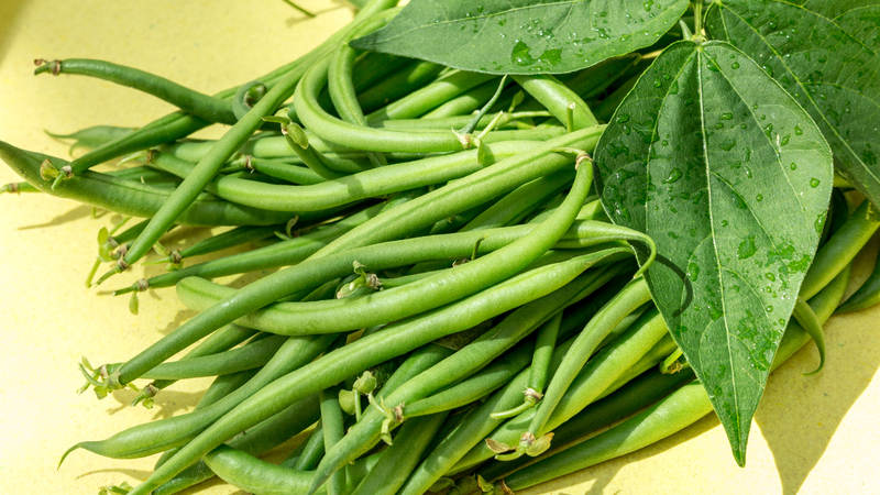 Khám phá 10 tác dụng tuyệt vời của đậu que với sức khỏe 4