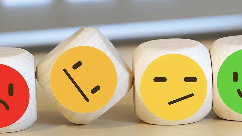 kham-pha-bi-an-nao-bo-phan-nao-cua-bo-nao-kiem-soat-cam-xuc 3