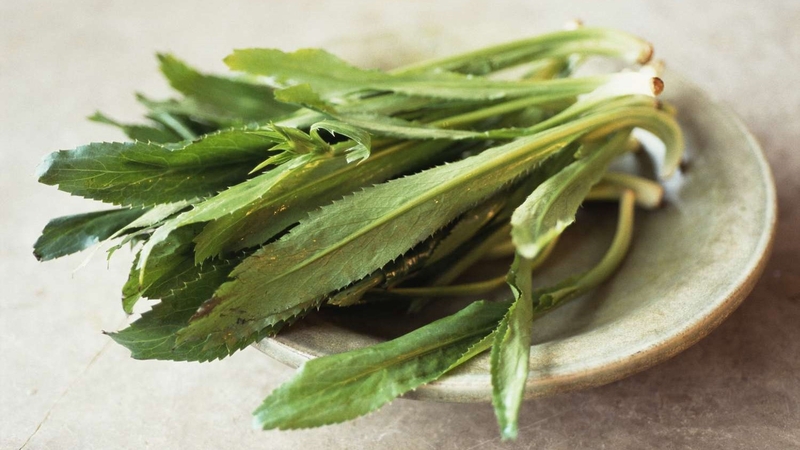 Khám phá cách sử dụng rau mùi tàu chữa sỏi thận hiệu quả 1