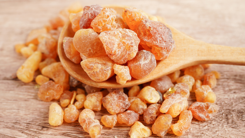 Khám phá công dụng của mủ trôm trong làm đẹp 4