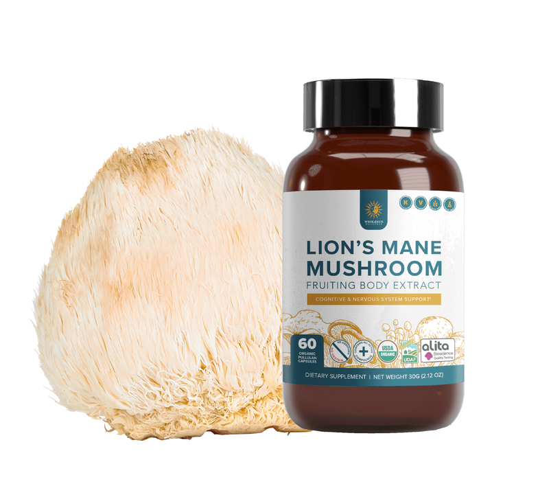 Khám phá công dụng sức khỏe đặc biệt của nấm bờm sư tử 2