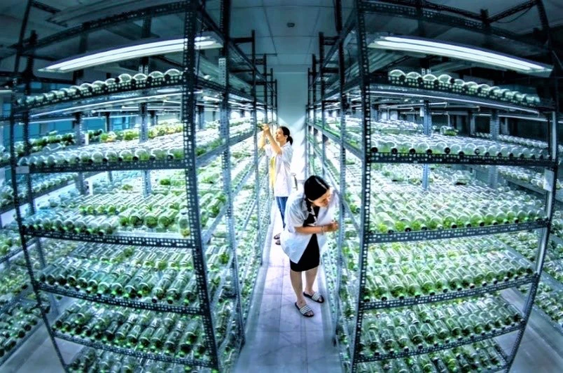 Khám phá công nghệ tế bào và ứng dụng thực tiễn 5