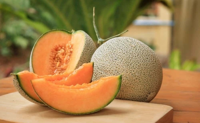 Khám phá giá trị dinh dưỡng của dưa gang và dưa lưới 3