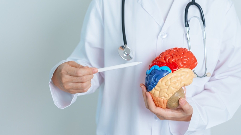 Xuất huyết não có thể do rối loạn đông máu hoặc bệnh nhân đang dùng thuốc chống đông