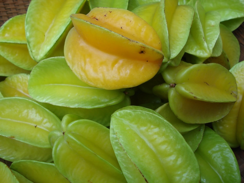 Khám phá những cách chữa gai cột sống hiệu quả nhất 3