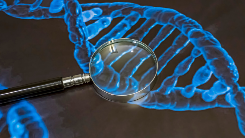 Khám thai tuần 22: Các xét nghiệm quan trọng và hướng dẫn chi tiết 3