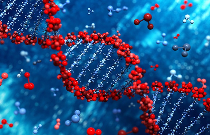 Khám tiền hôn nhân phát hiện bệnh truyền nhiễm