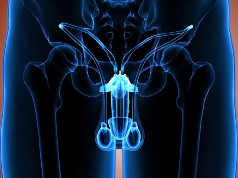 Khám tinh hoàn có thể phát hiện những bệnh lý gì? 1