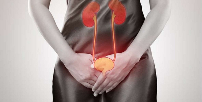 Các loại kháng sinh chữa viêm đường tiết niệu 1