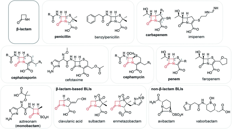 Tổng quan về kháng sinh nhóm beta lactam 2