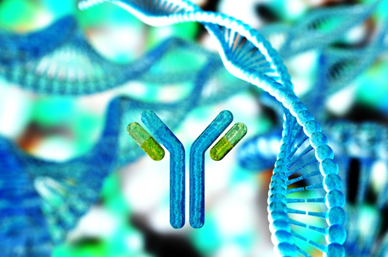 Kháng thể đơn dòng là gì và công dụng điều trị ung thư, Covid-19 ra sao? 1