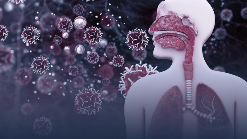 Kháng thể là gì? Tất tật những điều bạn cần biết 4