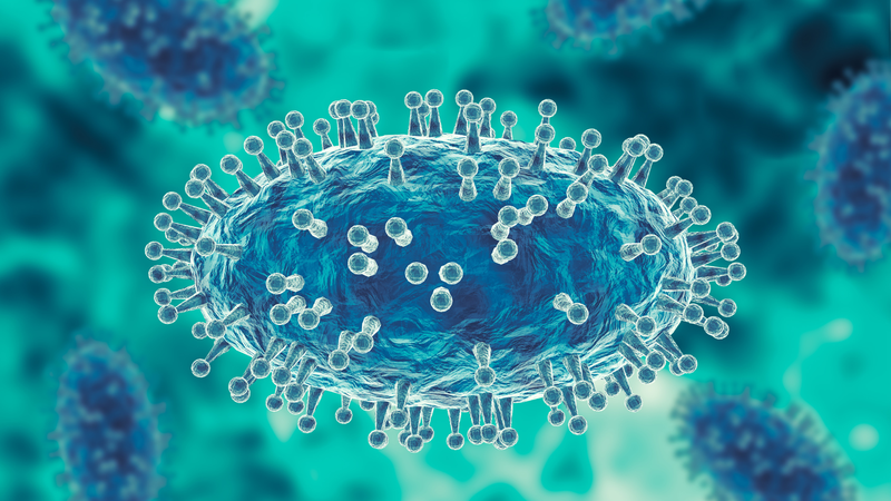 Khi bị bệnh đậu mùa khỉ thì nên làm gì? 1