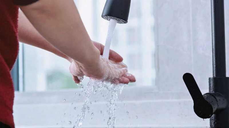 Khi bị mèo cào có nên tiêm phòng dại không? 3