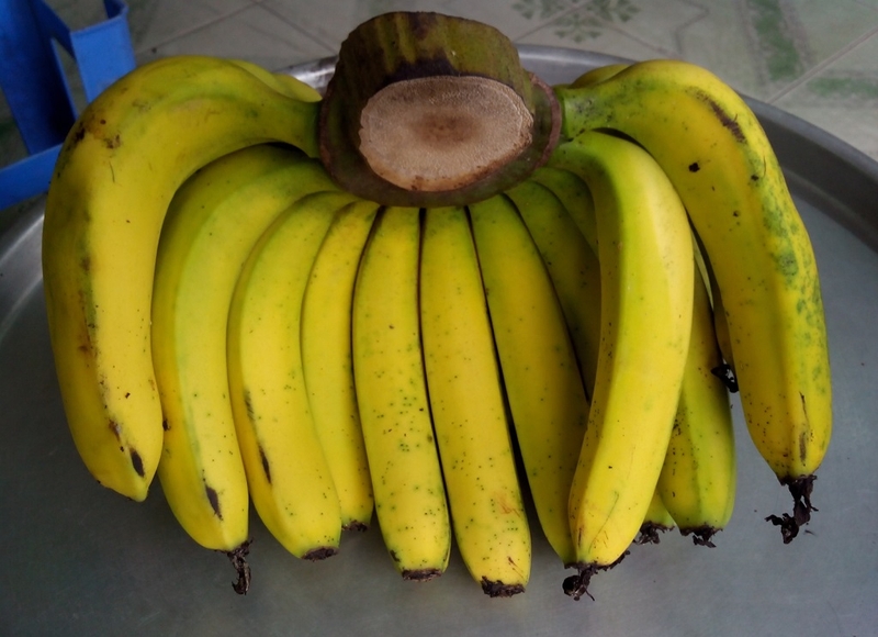 Khí đá có độc không và những thông tin có thể bạn chưa biết 2