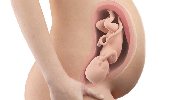 Sự phát triển của em bé ở tuần 35.