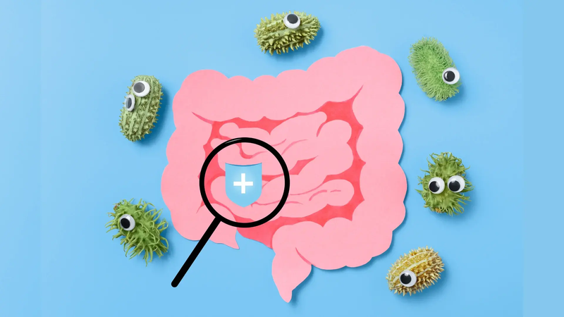 Lợi khuẩn phát triển sai vị trí có thể gây chướng bụng, tiêu chảy,...