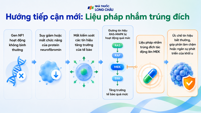 Liệu pháp nhắm trúng đích là hướng tiếp cận mới đã và đang được nghiên cứu
